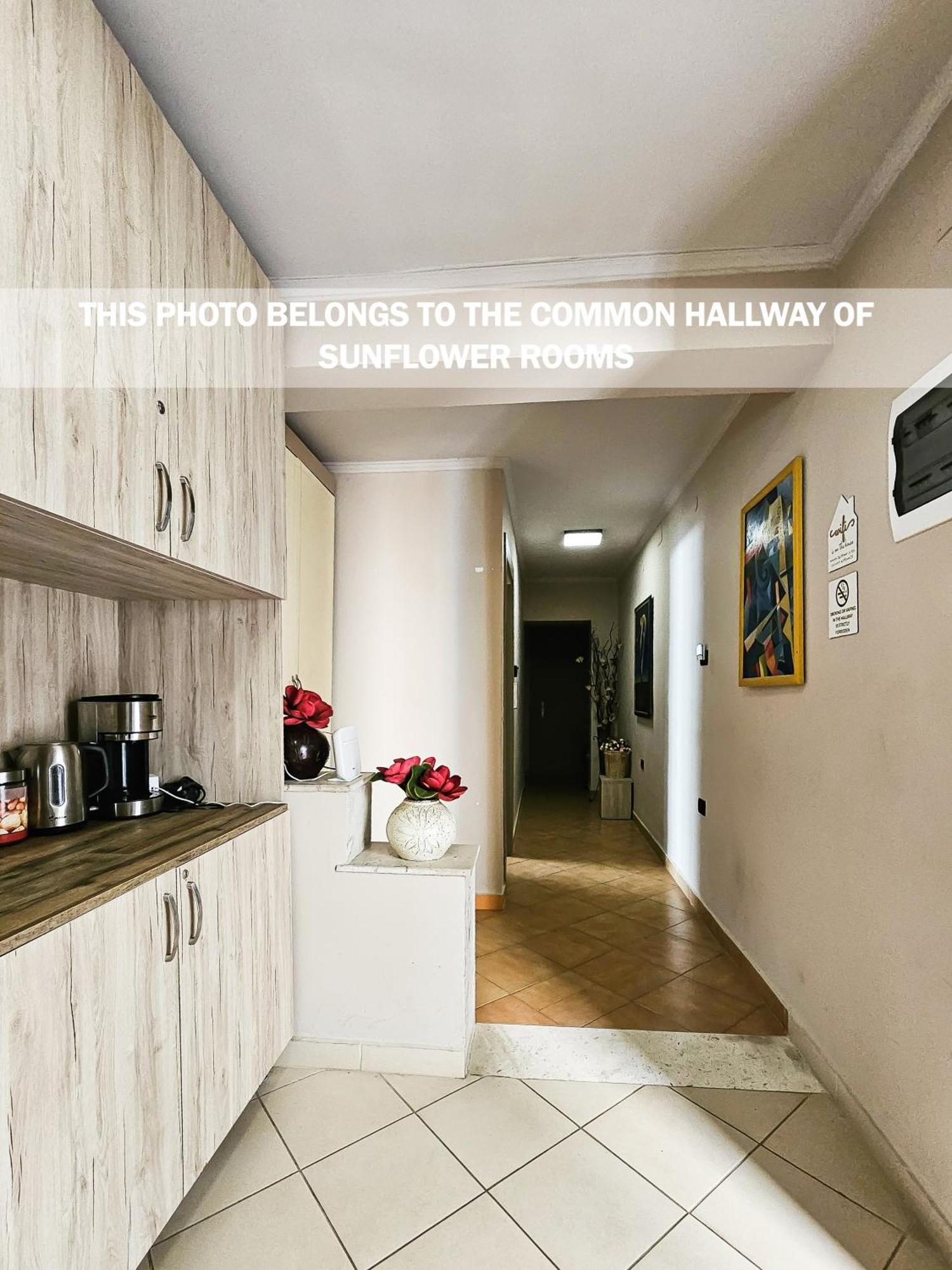 Sunflower Rooms Tirana Exterior photo